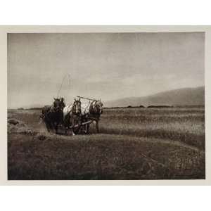   Horse Team Agriculture Utah   Original Photogravure