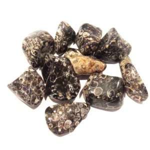  Agate Tumble 04 Wholesale Lot of 10 Crystals Black White 