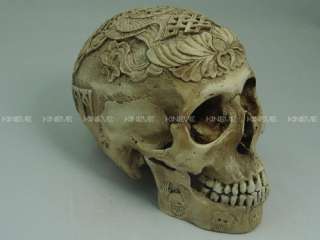 Resin hand made 11 Human Male Skull Replica Cranium  