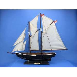  Bluenose 24 Toys & Games