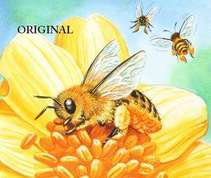 Honey Bees Cross Stitch Pattern TBB  