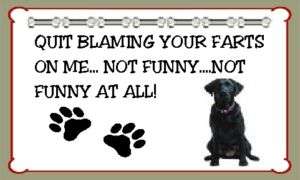 Black Labrador Fridge Magnet Quit Blaming Your Farts  