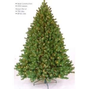  7 1/2 Tennessee Fir Christmas Tree