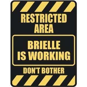   RESTRICTED AREA BRIELLE IS WORKING  PARKING SIGN