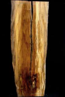 Bookmatched Smokey Spalted Sycamore Lumber Slab *4572  