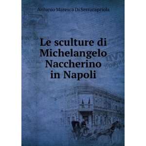  Le Sculture Di Michelangelo Naccherino in Napoli (Italian 
