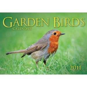 2011 Bird Calendars Garden Birds   12 Month   21x29.7cm 