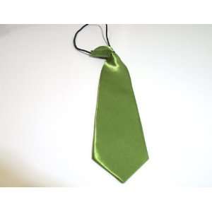  Kids Necktie 10 Youth Neck Tie (Green) 
