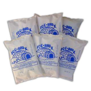 Cold Packs 6 Total  