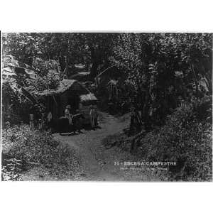  Puerto Rico,1922,Escena Campestre,people,horse,forest 