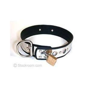  Locking Stainless Steel/Leather Locking Collar, XS Health 