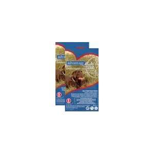  12 MONTH Advantage MULTI Blue For Dogs 55.1 88 lbs. Pet 