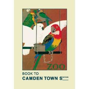  London Zoo Exotic Birds 20X30 Canvas