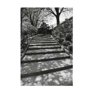  Stairs Up, Central Park, NYC by Bill Perlmutter. Size 14 