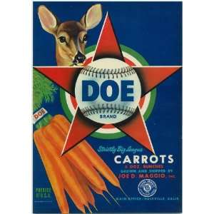 Doe Brand,big league carrots,bunches,bulls eye,grown,shipped,Joe D 