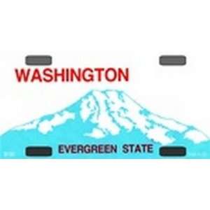 com BP 090 Washington State Background Blanks FLAT   Bicycle License 