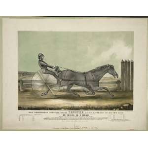  2.75 inch x 2 inch (7.5 x 5cm) Acrylic Keyring Horse 