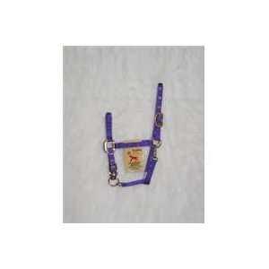  Category Equine Tack & Other EquipmentHALTERS & LEADS NYLON) Pet