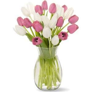 Sweetheart Tulips without Vase  Grocery & Gourmet Food