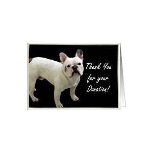  Thank You for your donation French bulldog Card Health 