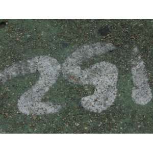  Number 251 Spray Painted into Loose Gravel Photographic 