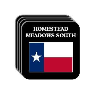  US State Flag   HOMESTEAD MEADOWS SOUTH, Texas (TX) Set of 