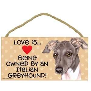 Love is . Being Owned by Italian Greyhound   5 X 10 Door/wall Dog 