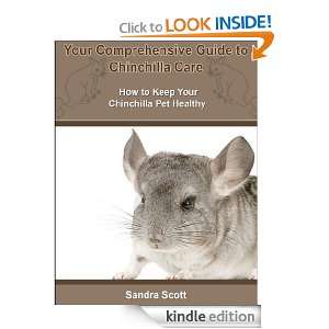  Comprehensive Guide to Chinchilla Care How to Keep Your Chinchilla 