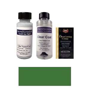  2 Oz. Verde Mistral Metallic Paint Bottle Kit for 2002 