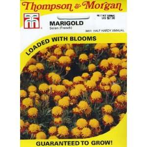   3451 Marigold Solan (French) Seed Packet Patio, Lawn & Garden