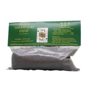  Blackjack Gigantamo Grow 5   5   1 (.5LB)