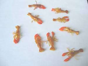 in. Brown Orange Claws Cream Belly Crawfish 25 Pack  