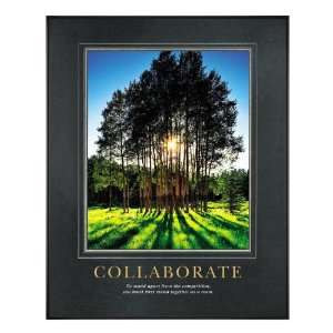  Successories Collaborate Grove Motivational Poster Office 