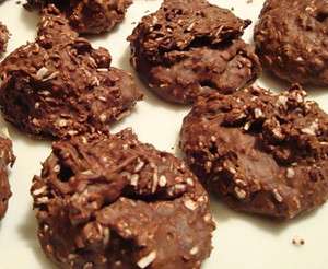 Chocolate Coconut Clusters   Low Carb Sugar Free Atkins Diet Candy NO 