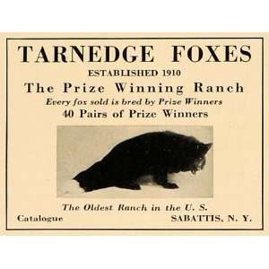  1928 Ad Tarnedge Foxes Breeding Ranch Sabattis New York 