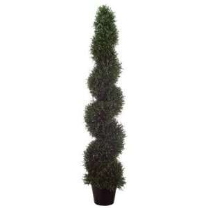  60 Rosemary Spiral Topiary Plant with Plastic Pot in 