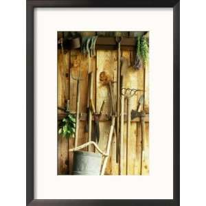 Garden Tools Hanging in Shed Fork, Shears, Rake, Lopper, Axe, Saw 