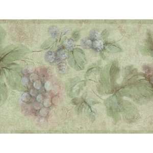 Sage Green Grape Flower Wallpaper Border 