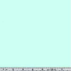  45 Wide Cotton Interlock Knit Mint Green Fabric By The 