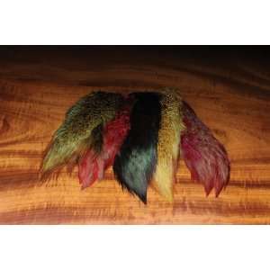  Ringneck Pheasant Rump Patch Feathers