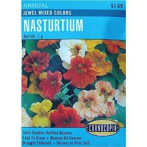  Nasturtium Jewel Mixed Colors Seeds 20 Seeds Patio, Lawn 