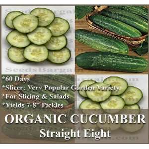  20 STRAIGHT EIGHT Cucumber seeds ~ORGANIC PERFECT 4 Slicing & Salad 