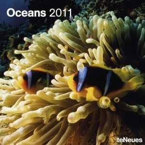 2011 Under The Sea Calendars Oceans   12 Month   30x30cm  