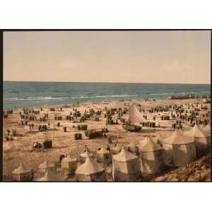   Photochrom Reprint of The beach, Scheveningen, Holland