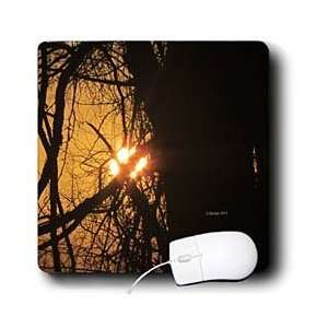  Jackie Popp Nature N Wildlife scenic   Sunset   Mouse Pads 