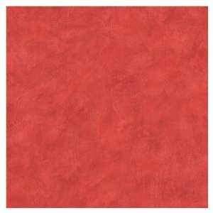  allen + roth Red Plaster Wallpaper LW1341956 Kitchen 