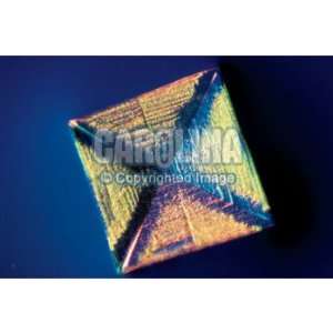 Salt Crystals, w.m., Microscope Slides  Industrial 