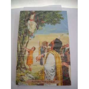  Bible Story Card Zacchaeus Finds A Friend Everything 
