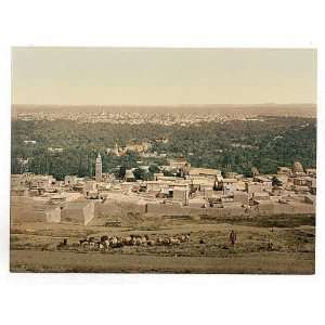  Photochrom Reprint of From Sallah, Damascus, Holy Land, i 