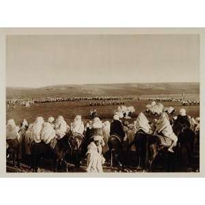  1924 Horses Riders Fantasia Safi Morocco Photogravure 